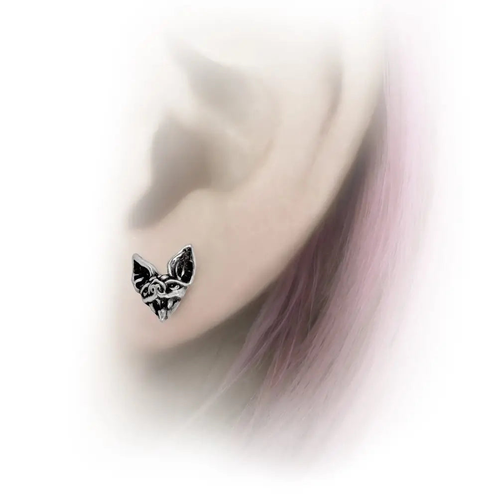 Alchemy - Cauchemar Stud
