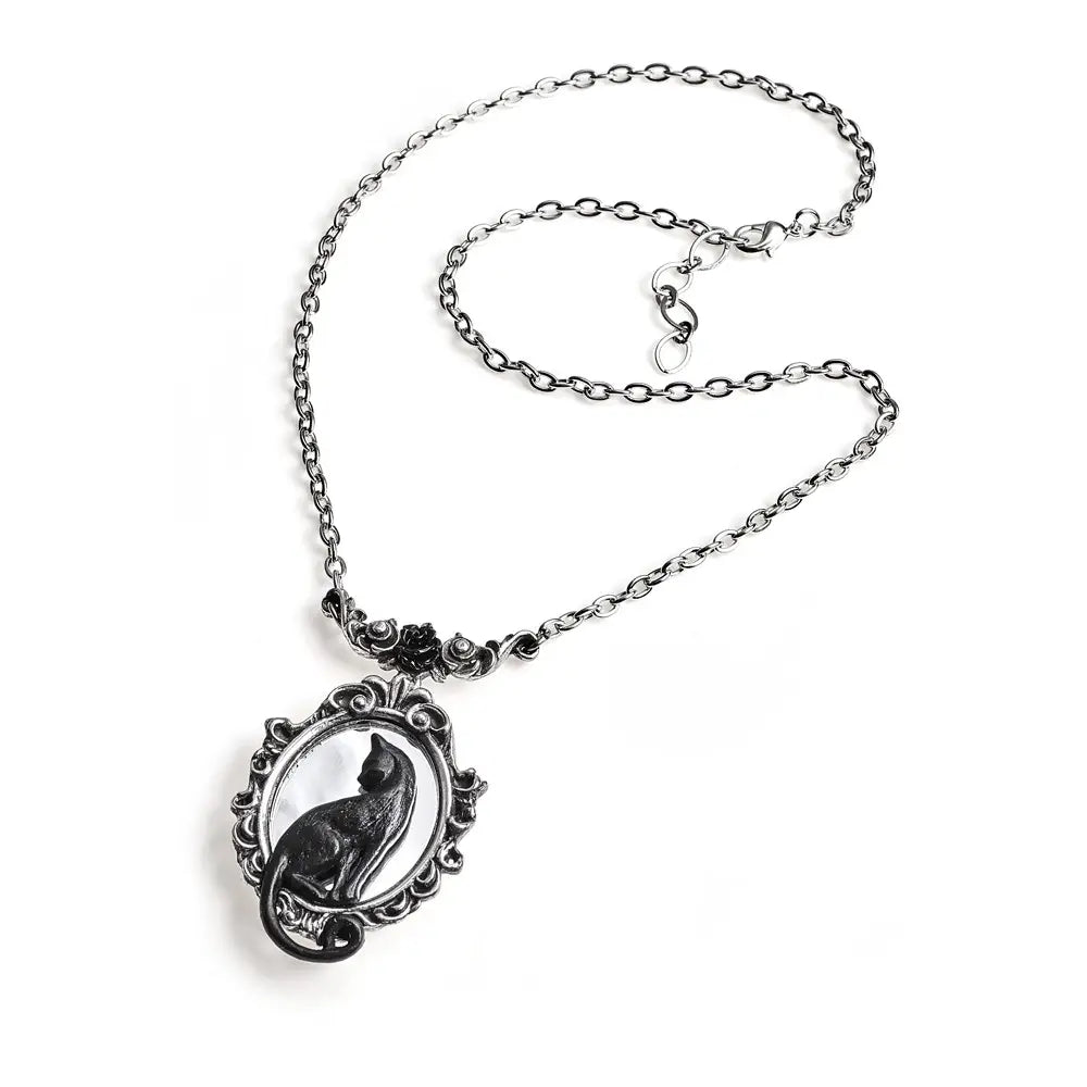 Alchemy - Feline Felicity