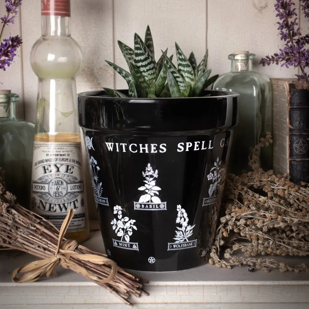Alchemy - Witches Spell - Plantenpot