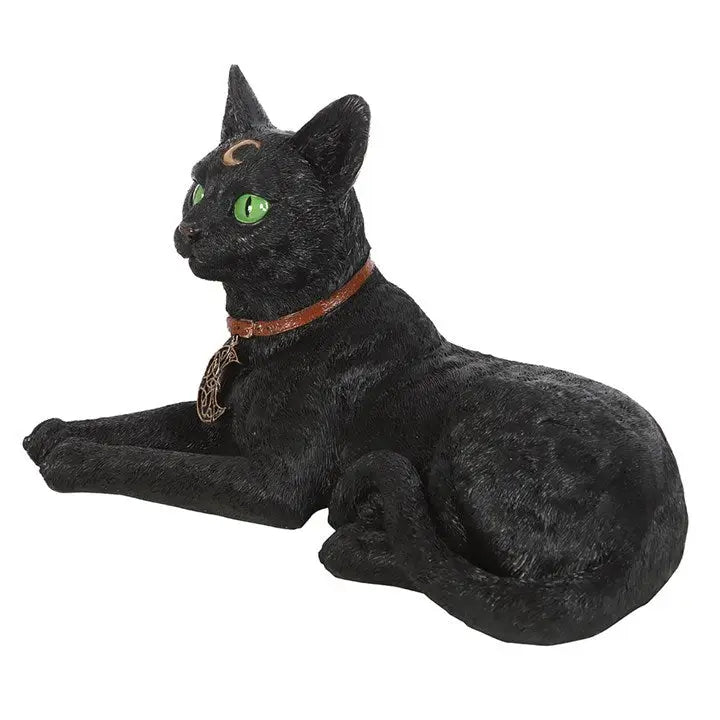 Laying Black Cat