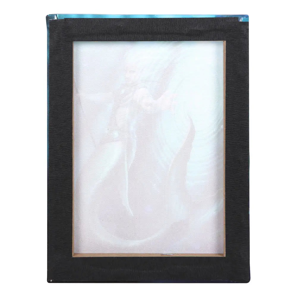 Water Element Wizard - Anne Stokes Canvas