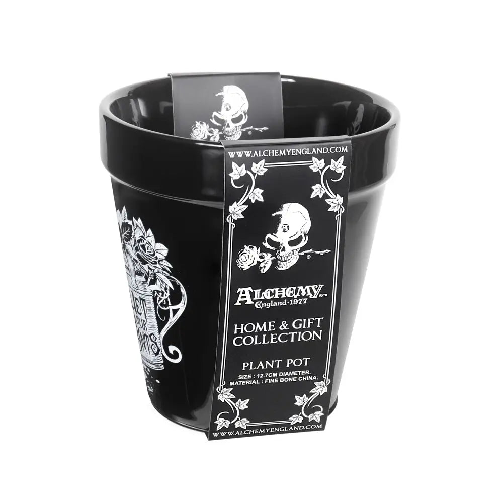 Alchemy - Wet Your Plants - Plantenpot