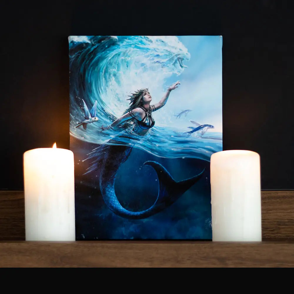 Water Element Sorceress - Anne Stokes Canvas
