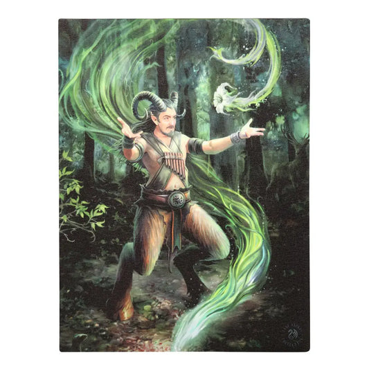 Earth Element Wizard - Anne Stokes Canvas