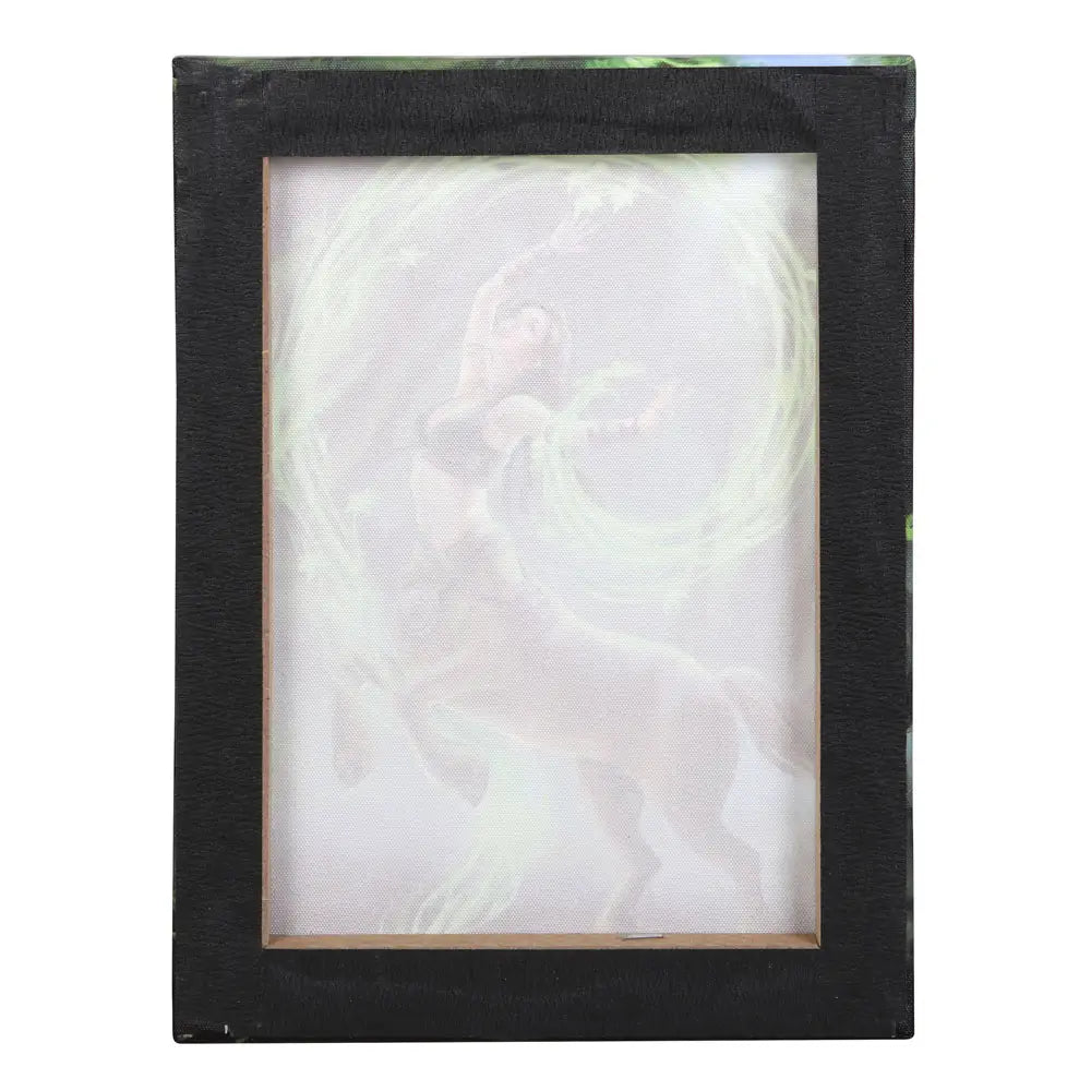 Earth Element Sorceress - Anne Stokes Canvas