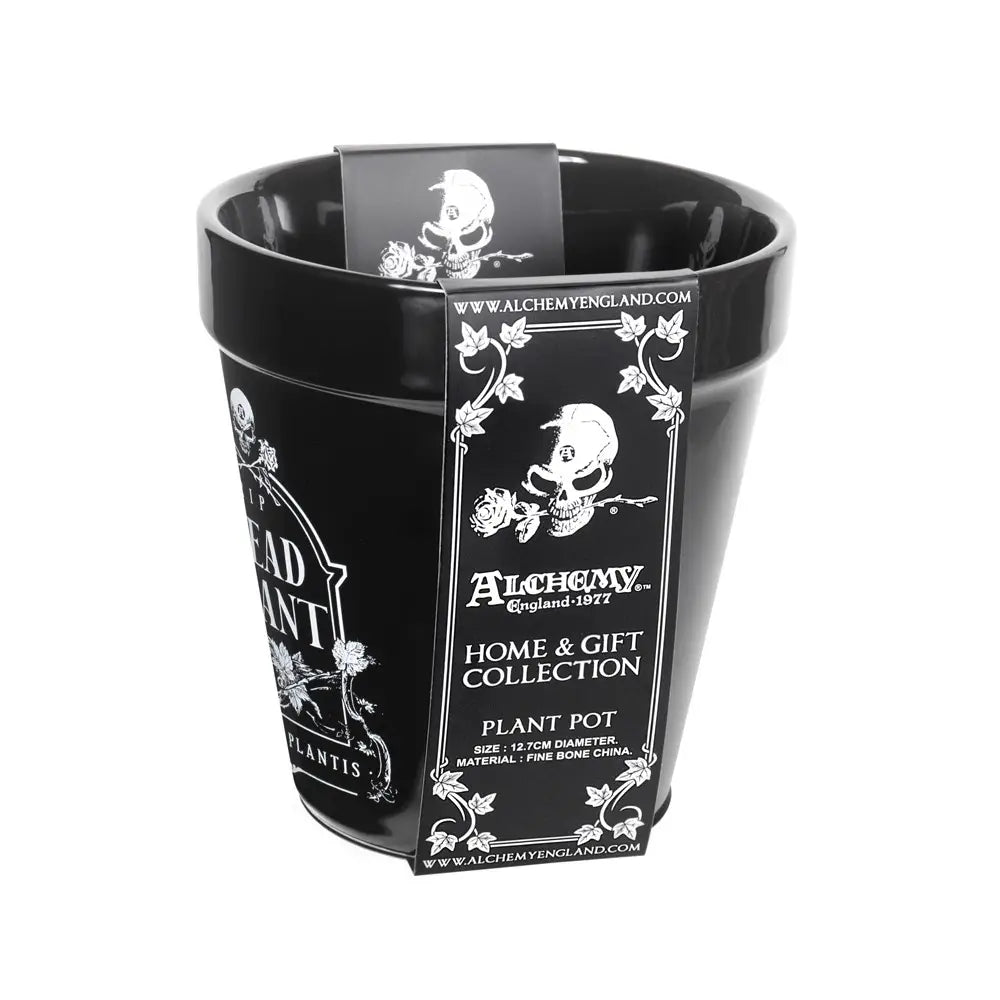 Alchemy - Dead Plant - Plantenpot