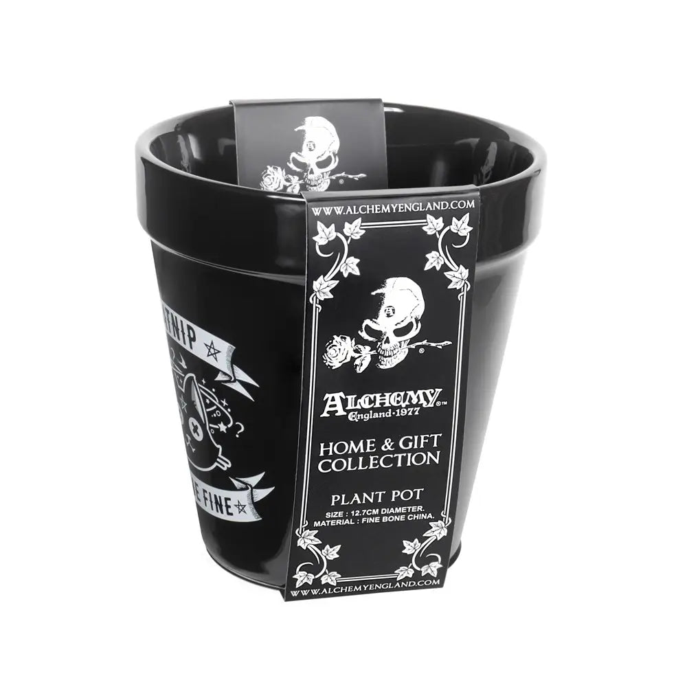 Alchemy - Catnip - Plantenpot