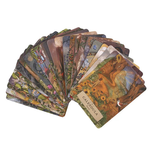 The Herbal Astrology Oracle: Card Deck and Guidebook