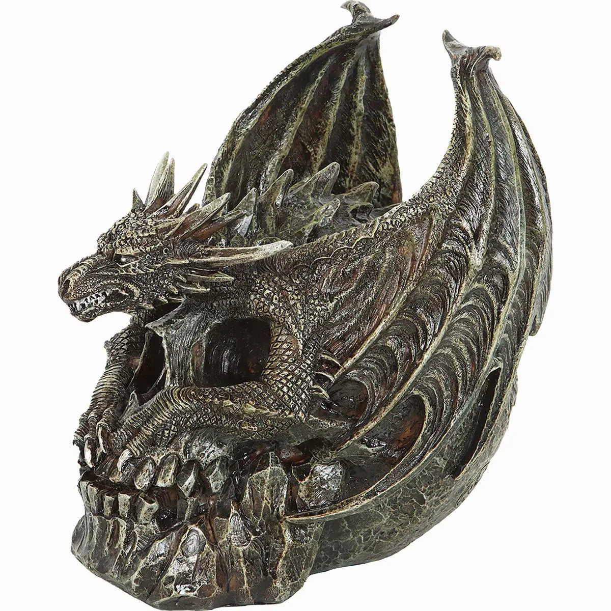 Draco Skull