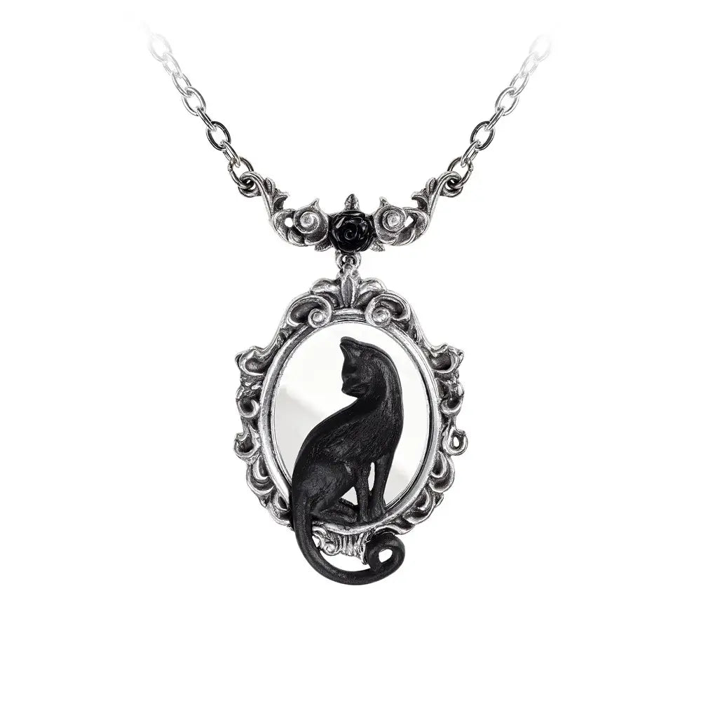 Alchemy - Feline Felicity