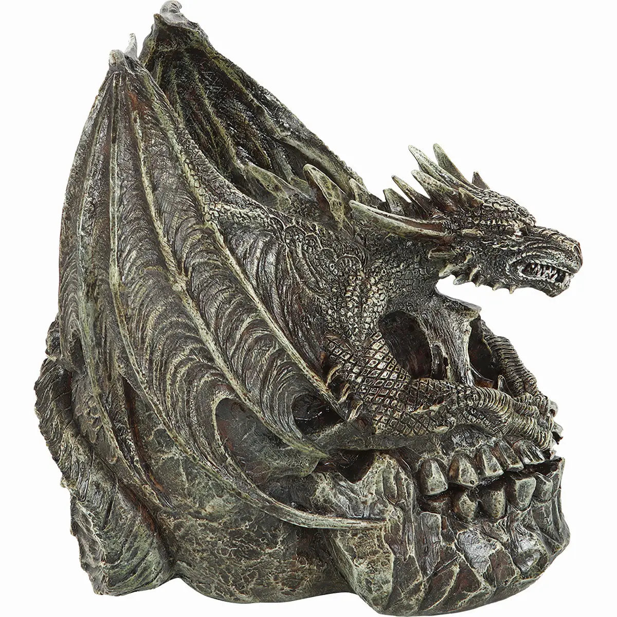 Draco Skull