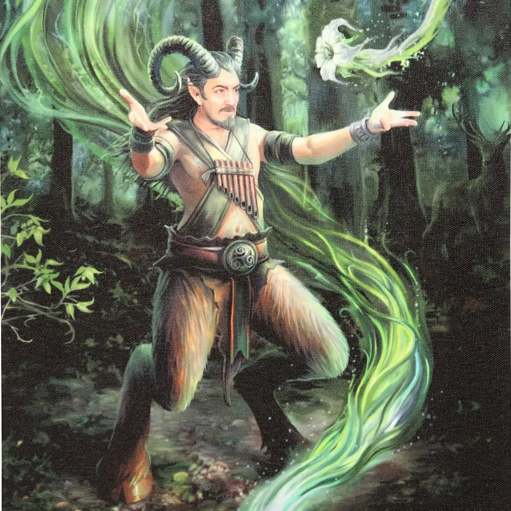 Earth Element Wizard - Anne Stokes Canvas