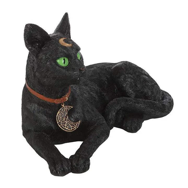 Laying Black Cat