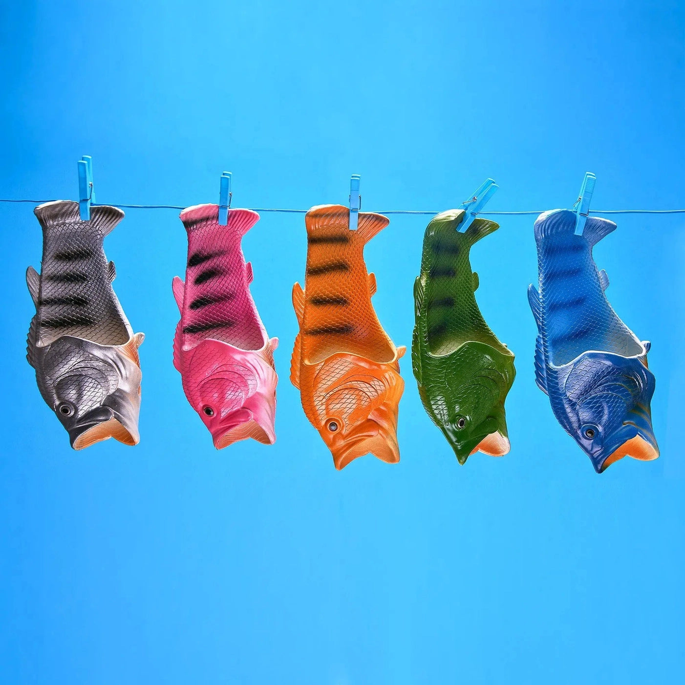 Coddies - Tuna Flops - Groene Zeebaars