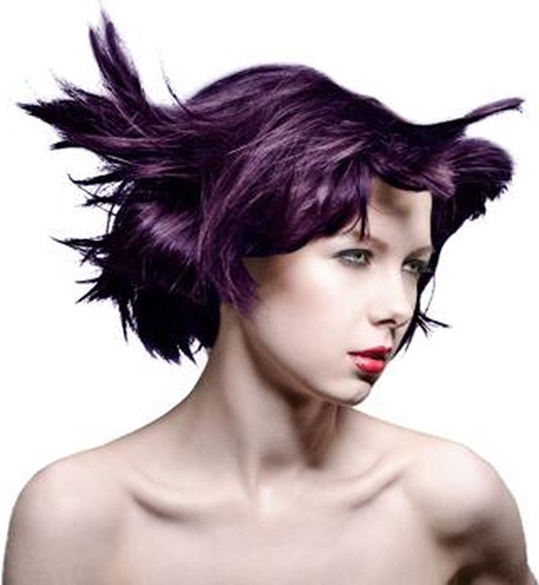 Deep Purple Dream