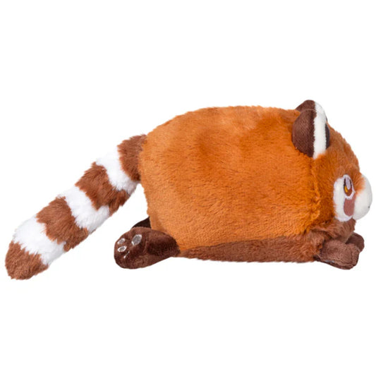 Red Panda Snacker - Mini Squishable