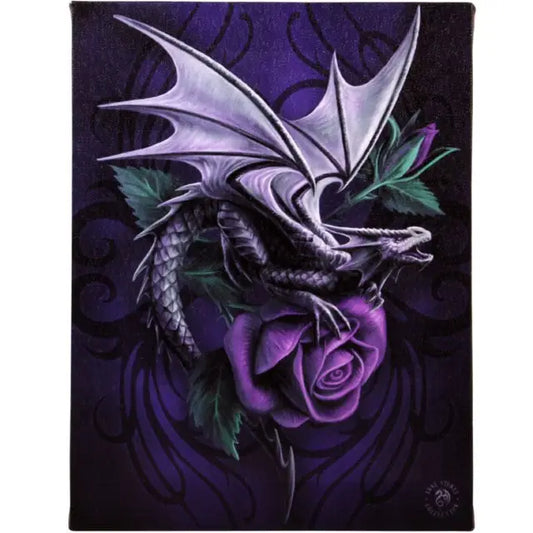 Dragon Beauty - Anne Stokes Canvas