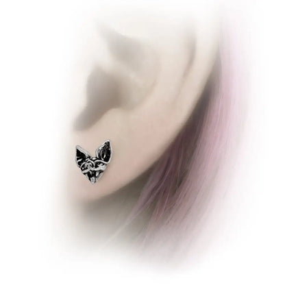 Alchemy - Cauchemar Stud