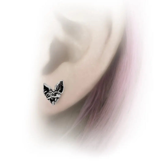 Alchemy - Cauchemar Stud