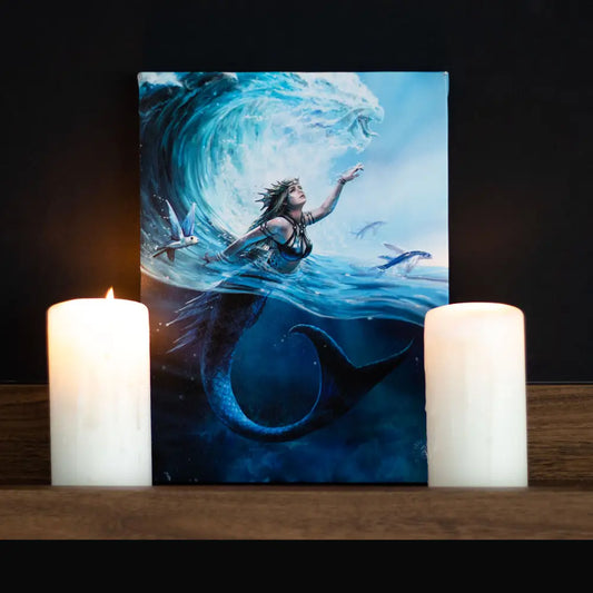 Water Element Sorceress - Anne Stokes Canvas