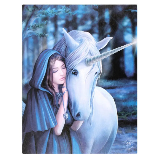 Solace - Anne Stokes Canvas