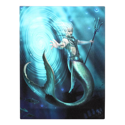 Water Element Wizard - Anne Stokes Canvas