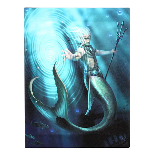 Water Element Wizard - Anne Stokes Canvas