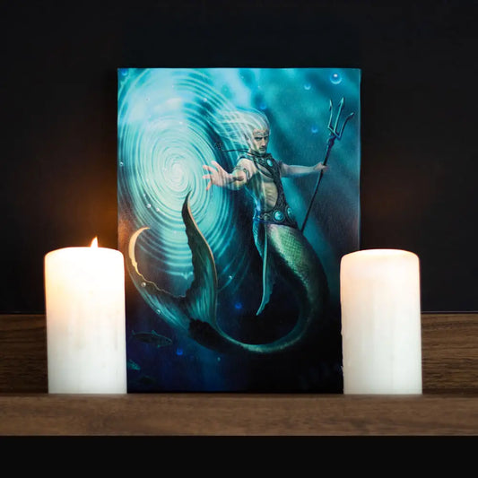 Water Element Wizard - Anne Stokes Canvas