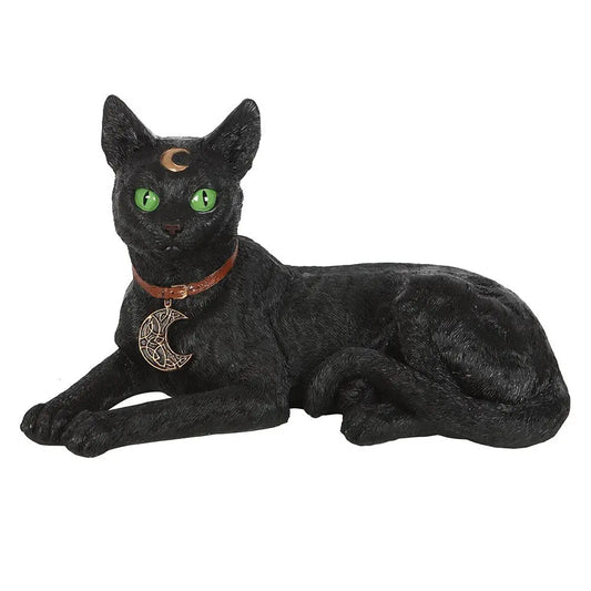 Laying Black Cat