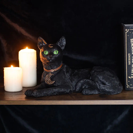 Laying Black Cat