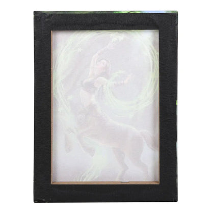 Earth Element Sorceress - Anne Stokes Canvas