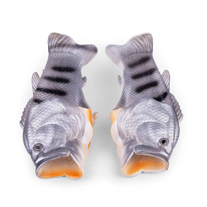 Coddies - Tuna Flops - Zilveren Makreel