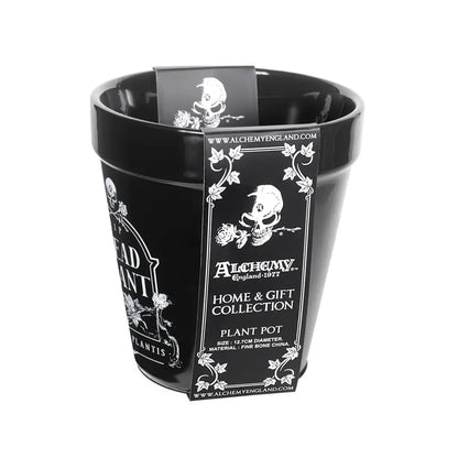 Alchemy - Dead Plant - Plantenpot