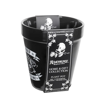 Alchemy - Catnip - Plantenpot