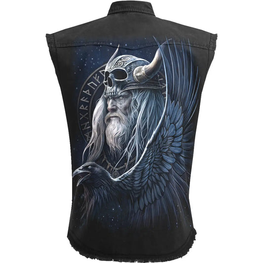 Odin's Warrior