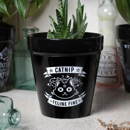 Alchemy - Catnip - Plantenpot