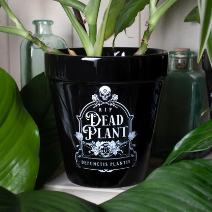 Alchemy - Dead Plant - Plantenpot