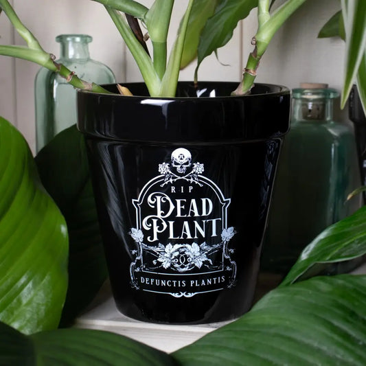 Alchemy - Dead Plant - Plantenpot