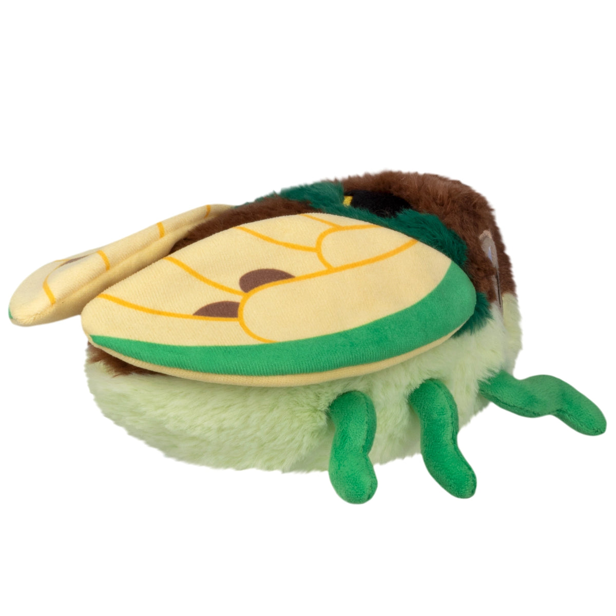 Cicade Snacker - Mini Squishable