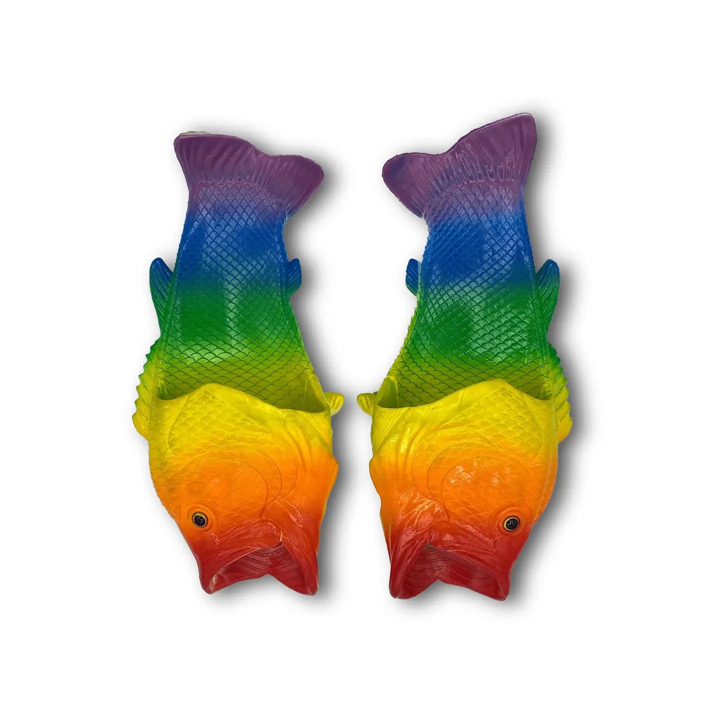 Coddies - Tuna Flops - Rainbow Fish