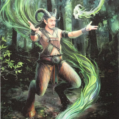 Earth Element Wizard - Anne Stokes Canvas