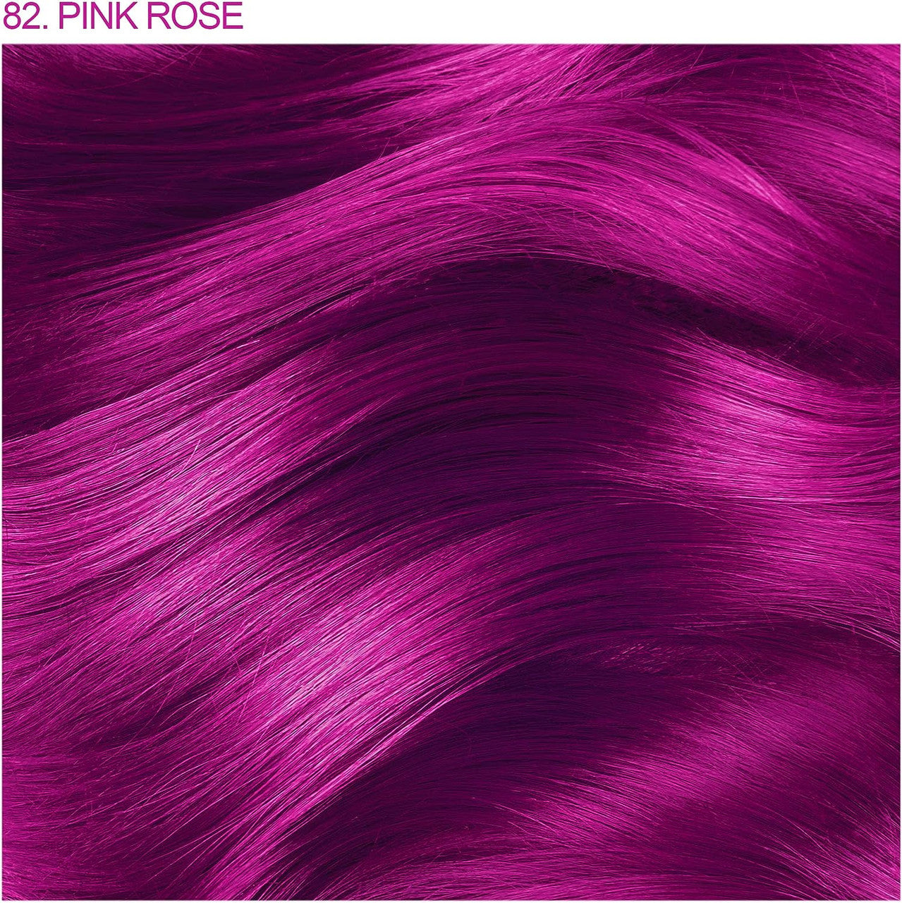 Pink Rose
