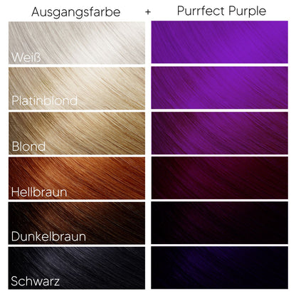 Headshot: Color Mask - Purrfect Purple - 200ml