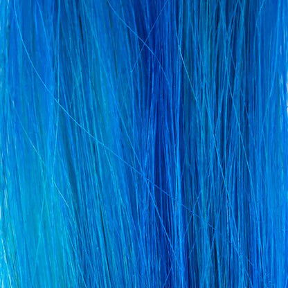 Coral Blue