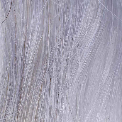 Silverlook
