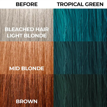 Tropical Green