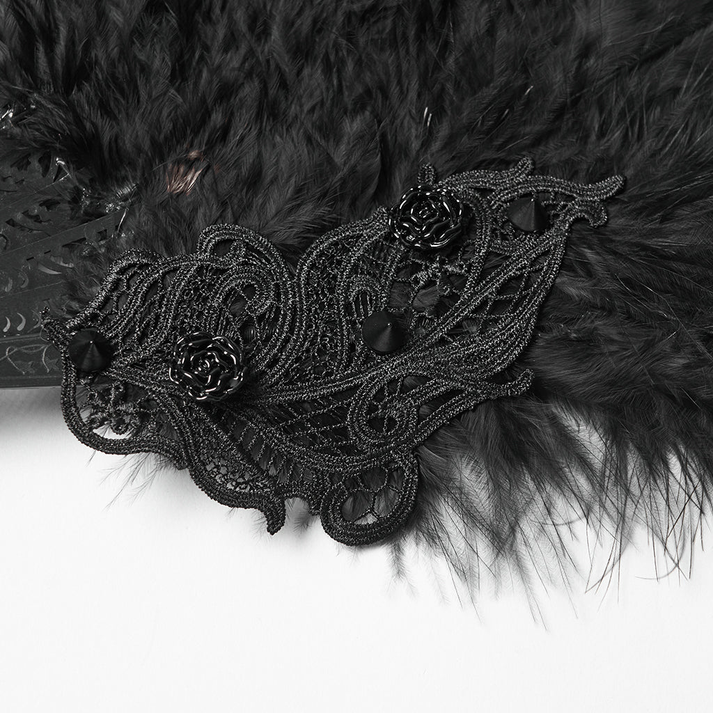 Black Swan Waaier