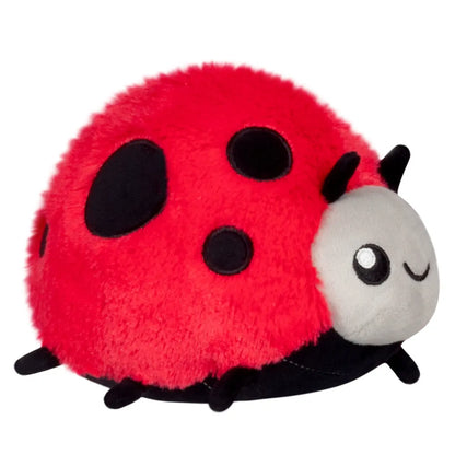 Lieveheersbeestje - Snacker (5") - Mini Squishable