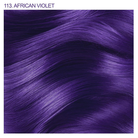 African Violet
