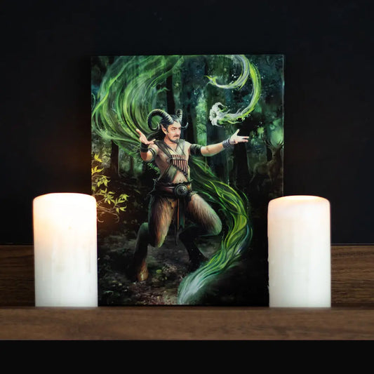 Earth Element Wizard - Anne Stokes Canvas